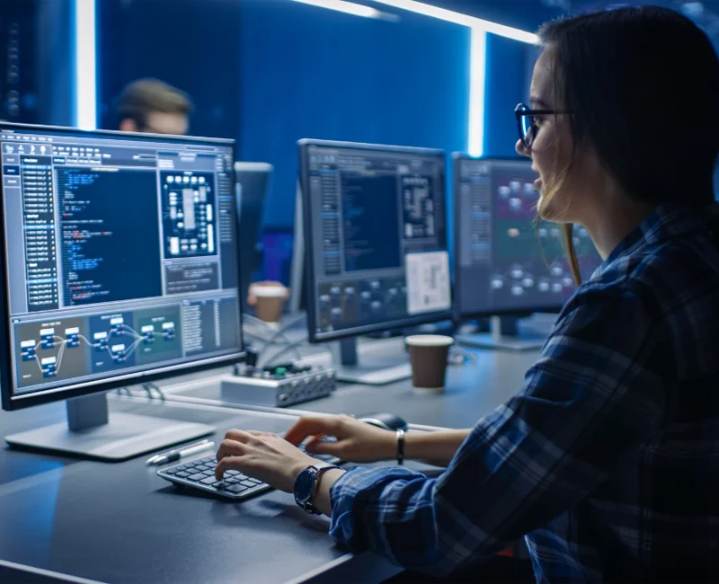 Custom Software and Application Development